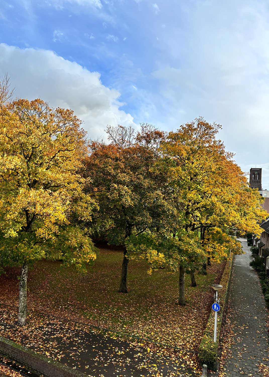 Fraterspark-Herfst-1